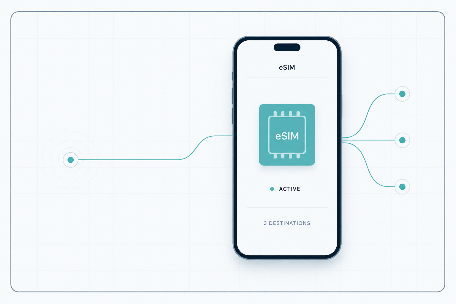 Raqoon eSIM connectivity interface